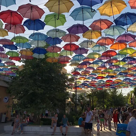 The Odesa